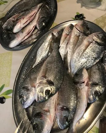 Curnic