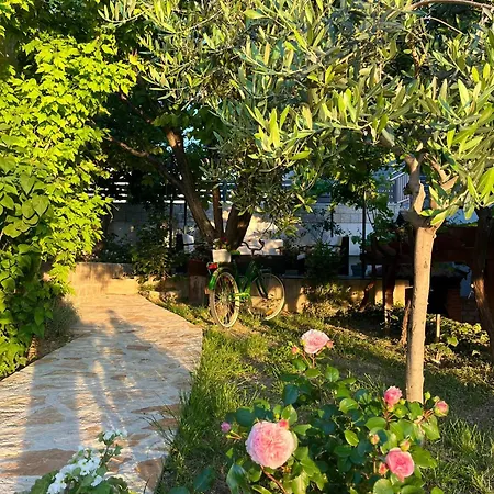 Apartment Curnic Jesenice (Split-Dalmatia)