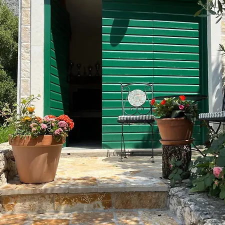 Curnic Apartment